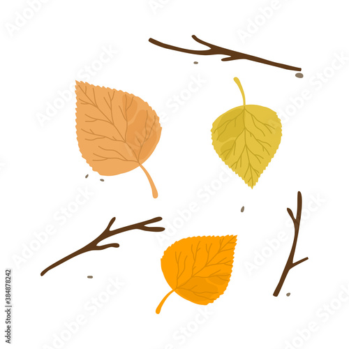 Colorful aspen fallen autumn seasonal leaf from tree vector illustration