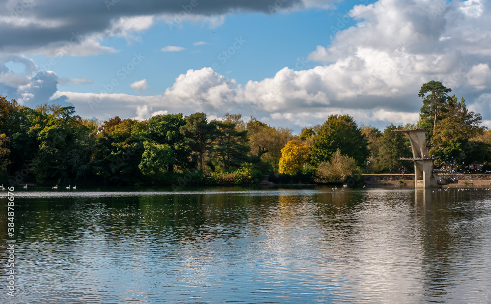 lake and forest