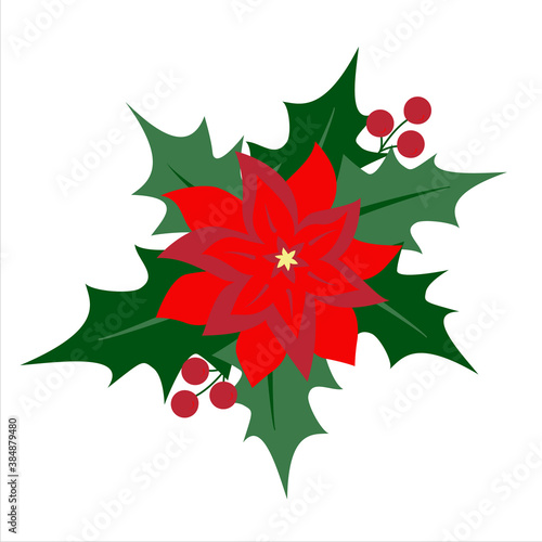  Hand drawn poinsettia flower with holly leaves