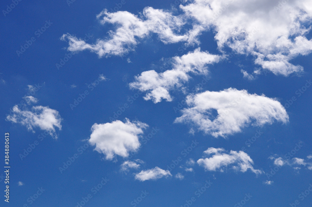 Obraz premium 青空と白い雲