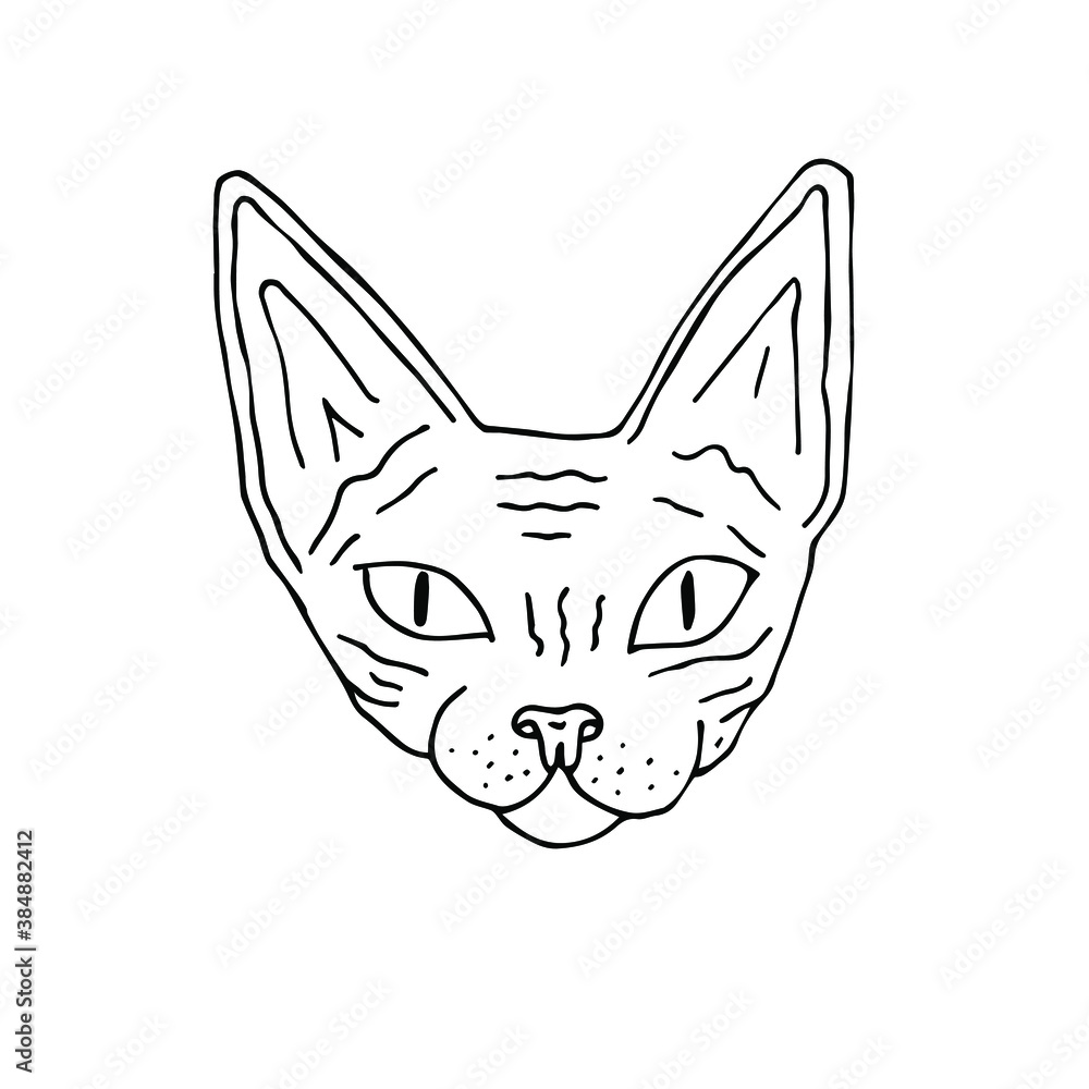 Vector hand drawn doodle sketch Sphynx cat face isolated on white background Vector hand drawn doodle sketch Sphynx cat face isolated on white background