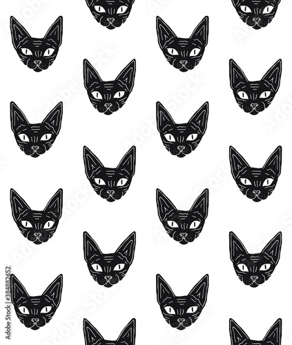 Vector seamless pattern of black hand drawn doodle sketch Sphynx cat face isolated on white background