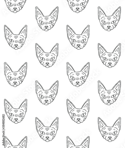 Vector seamless pattern of hand drawn doodle sketch Sphynx cat face isolated on white background
