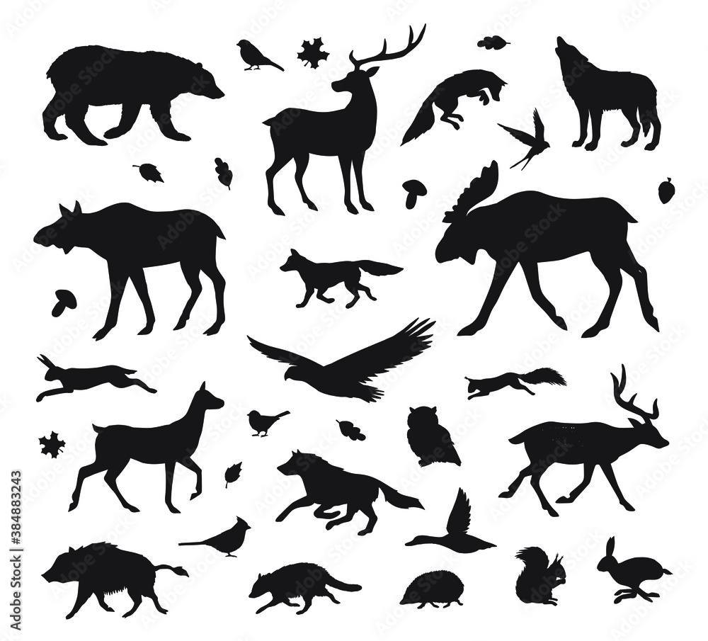 Vector set bundle of hand drawn wild forest animals silhouette isolated on white background