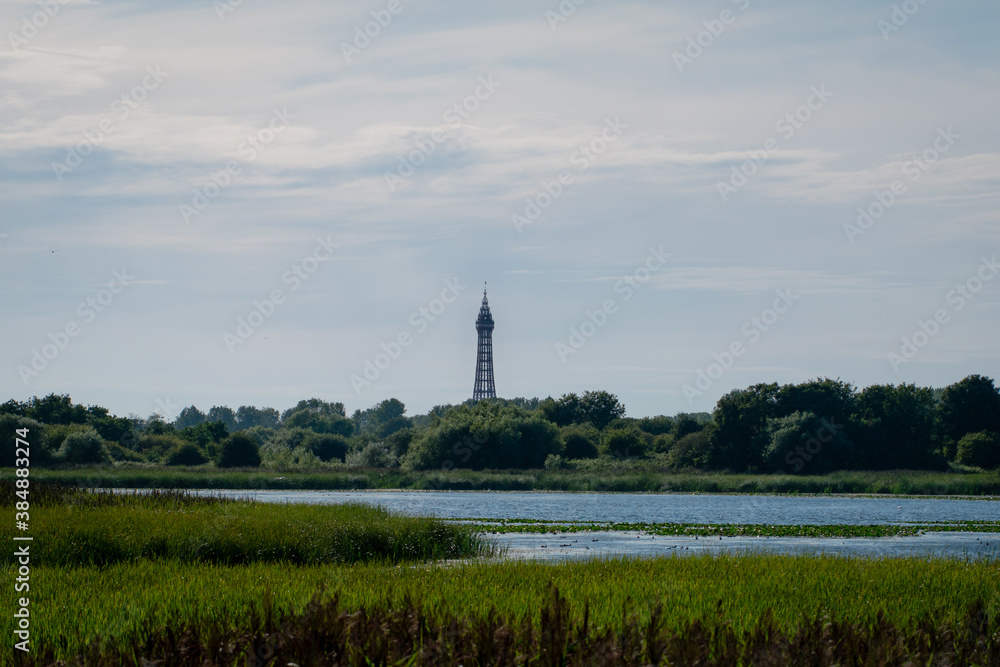 The landscape of the Marton Mere Local Nature Reserve in Blackpool showing the lake and distant tower
