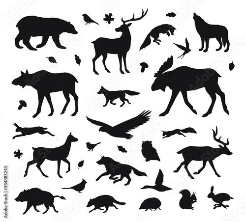 Vector set bundle of hand drawn wild forest animals silhouette isolated on white background © Sweta