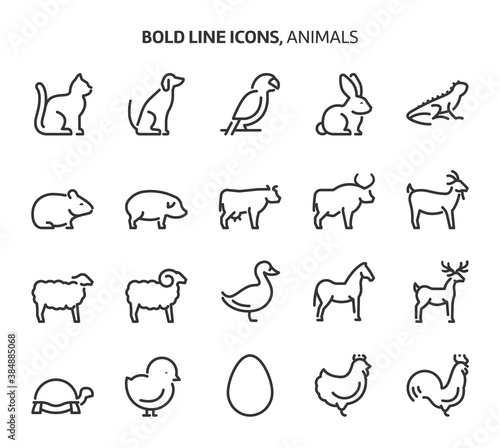 Animals, bold line icons