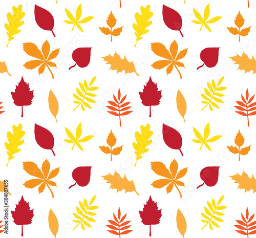 Vector seamless pattern of different color hand drawn leaves silhouette isolated on white background