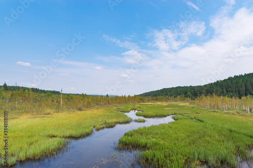 Summer landscape with water, greenery, forest and mountains. Spruce Bay of the Irkutsk Reservoir on the Angara River.