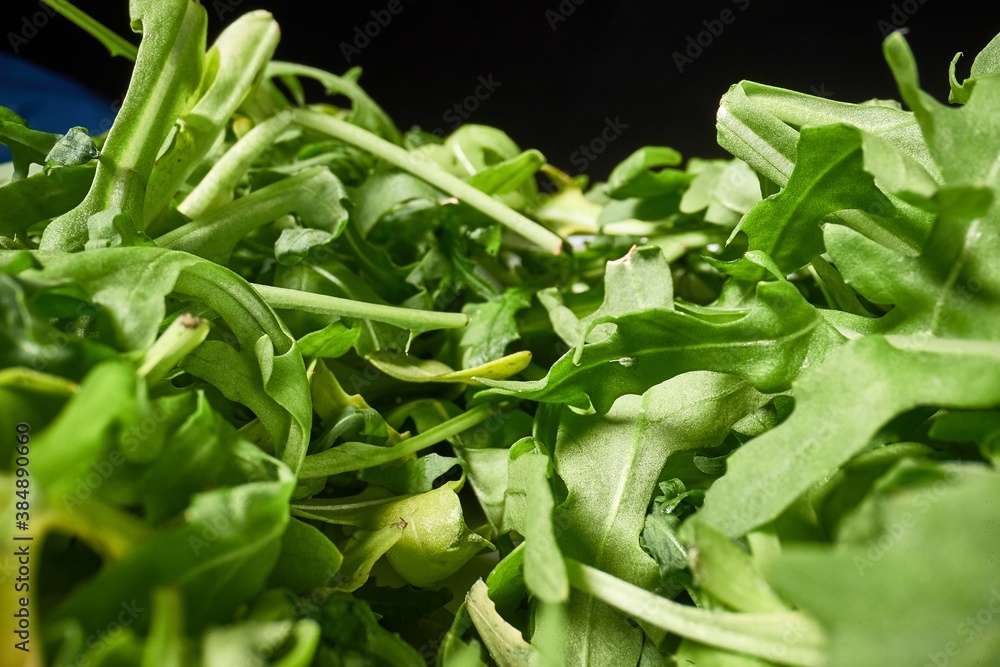 Fototapeta premium Fresh green aragula salad macro view from between the leaves