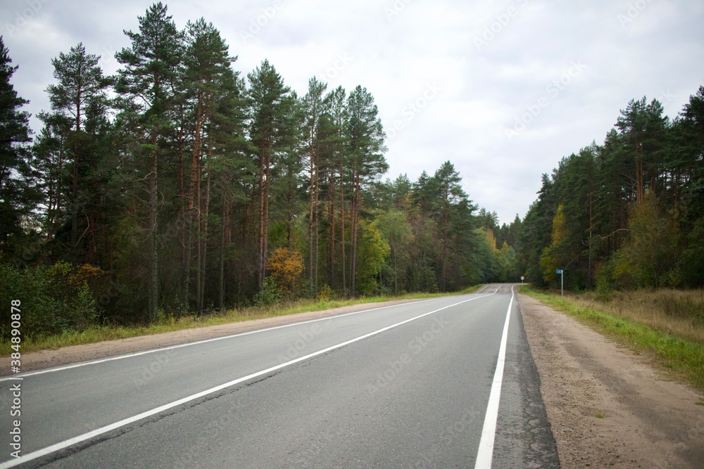 Fototapeta premium Empty asphalt countryside road in the forest. Driving, traveling concept 
