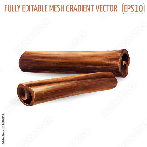 Two cinnamon sticks on a white background.