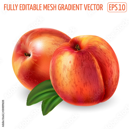 Peaches with leaves on a white background.