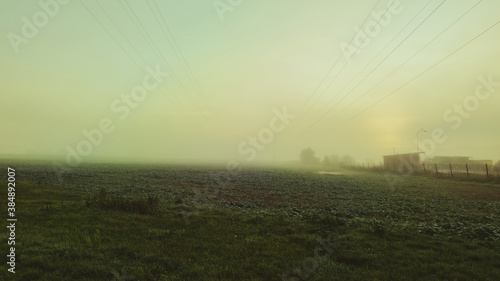field in autumn fog, Early autumn morning. Dense fog envelops the idyllic landscape. Field grasses have faded from the first frosts