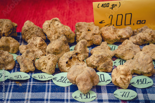 White Truffles (Tuber Magnatum Pico) on a trader stall of the Fiera del Tartufo (Truffle Fair) of Alba, Piedmont (Italy), most important international truffle market in the world photo