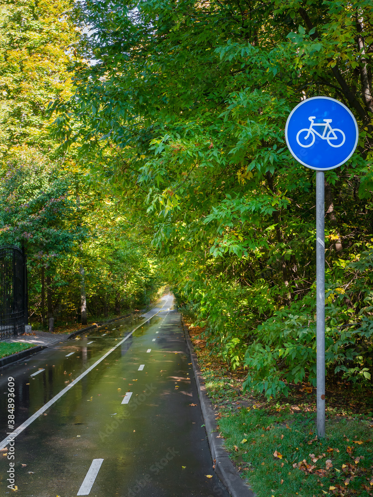 Bicycle path in the autumn Park. White markings on the asphalt for bicyclists. Bicycle path in the autumn Park. White markings on the asphalt for bicyclists.