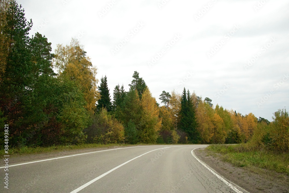 Empty asphalt road at countryside at golden autumn day