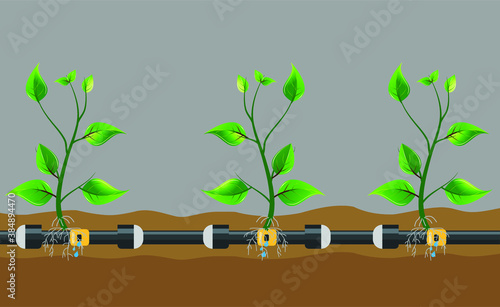 Underground or in ground drip irrigation system. Water irrigation. Automatic sprinklers system. Vector illustration flat design. Smart farming application concept. Saving water and time