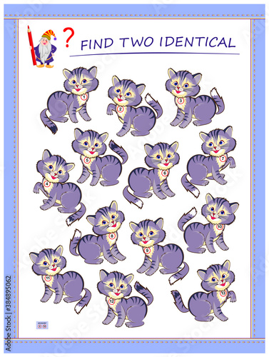 Logic puzzle game for children and adults. Find two identical kittens. Printable page for kids brain teaser book. Developing spatial thinking skills. IQ test. Task for attentiveness. Play online.