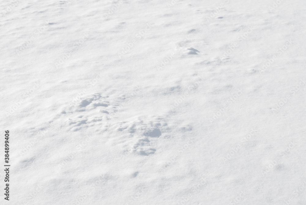 冬　雪　テクスチャ　背景　素材