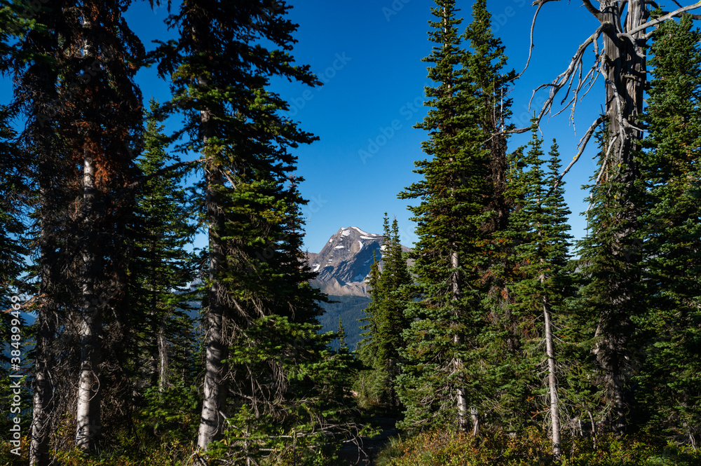 Grinnell Overlook via Granite Park Trail in Glacier National Park, wilderness area in Montana's Rocky Mountains. USA. Back to Nature concept. Grinnell Overlook via Granite Park Trail in Glacier National Park, wilderness area in Montana's Rocky Mountains. USA. Back to Nature concept.
