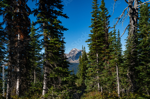 Grinnell Overlook via Granite Park Trail in Glacier National Park, wilderness area in Montana's Rocky Mountains. USA. Back to Nature concept.