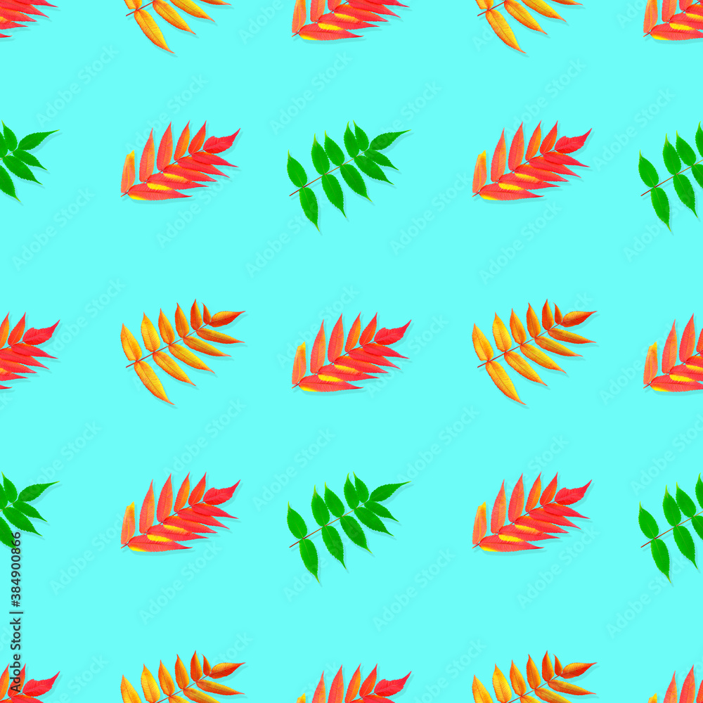 Seamless pattern. Colorful Autumn leaves isolated on a blue background Seamless pattern. Colorful Autumn leaves isolated on a blue background