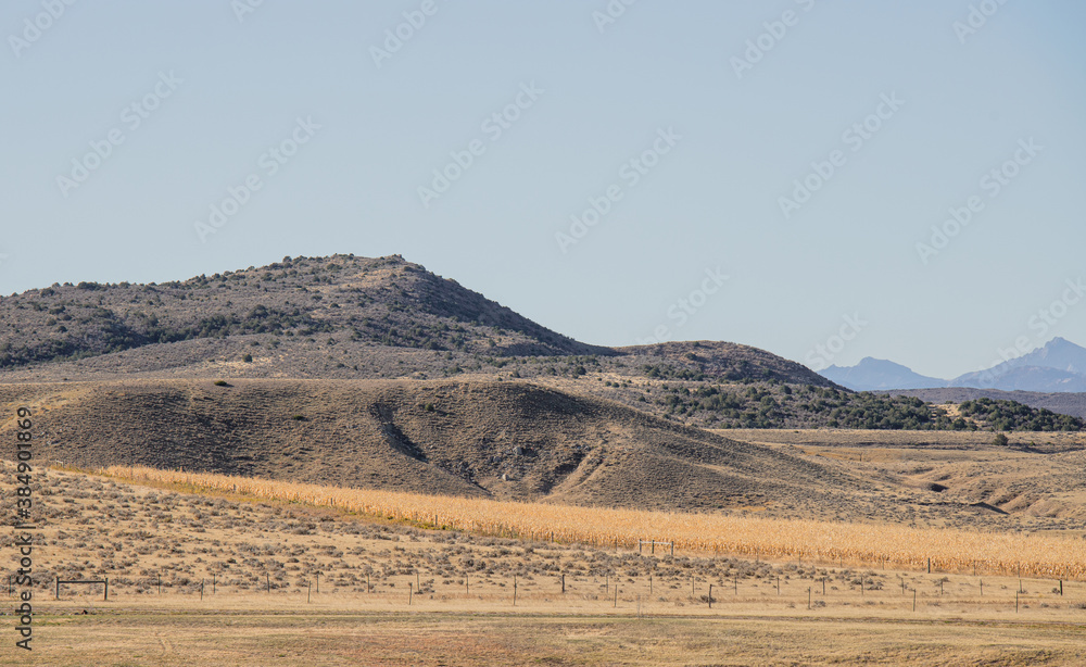 Fototapeta premium landscape with sky