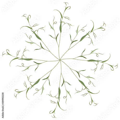 Round floral decor with green Eucalyptus or willow branches with leaves.