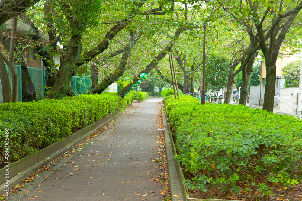 Obraz premium 蛇崩川緑道