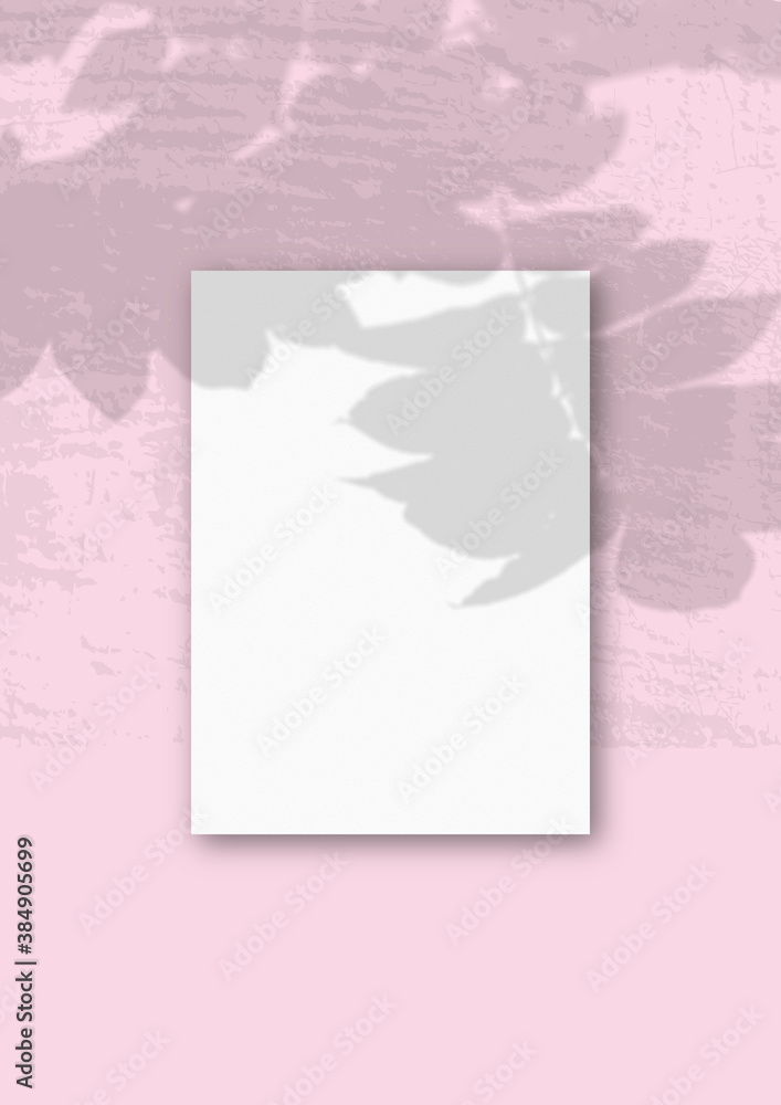Fototapeta premium Natural light casts shadows from an exotic plant on A vertical A4 sheet of white textured paper.