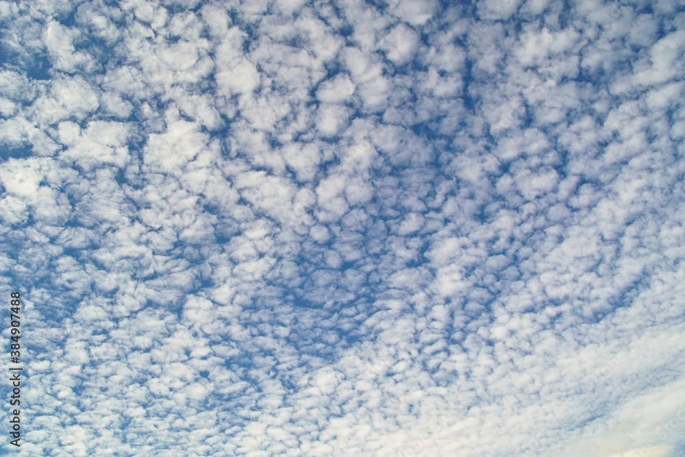いわし雲 いわし雲