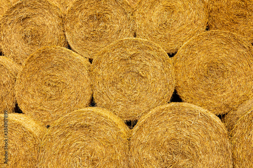 Close up rolls of straw bales stacked up
