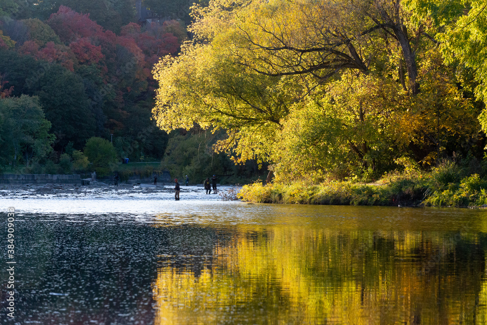 Obraz premium Landscape view at Humber River in fall season, Toronto, Ontario, Canada