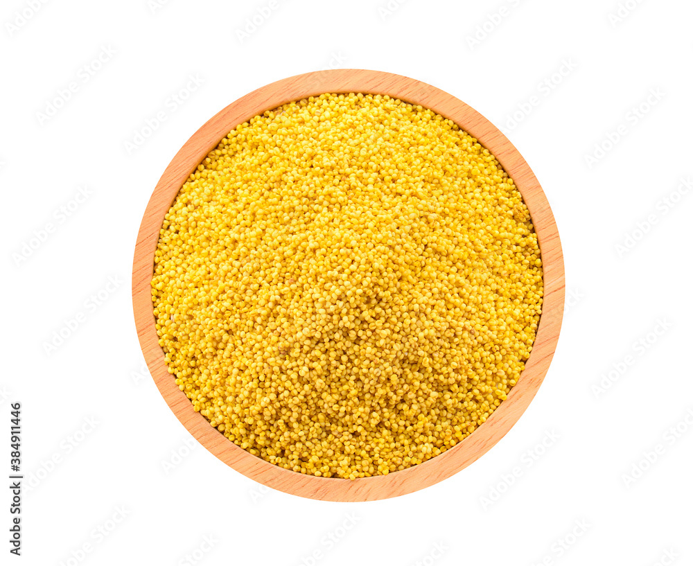 sorghum isolated on white background sorghum isolated on white background