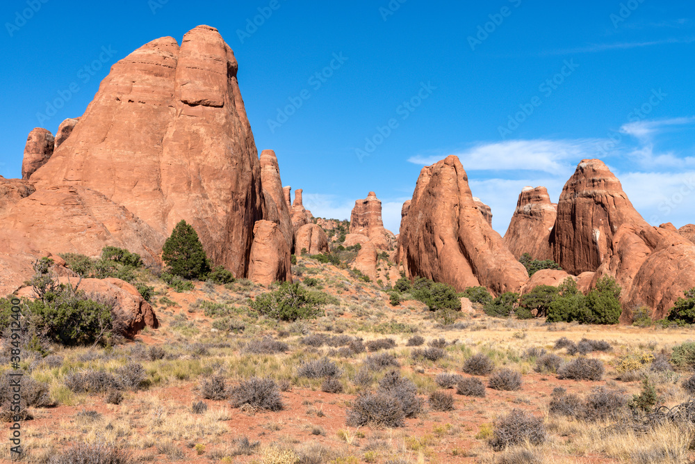 Fototapeta premium Desert landscape - Arches National Park