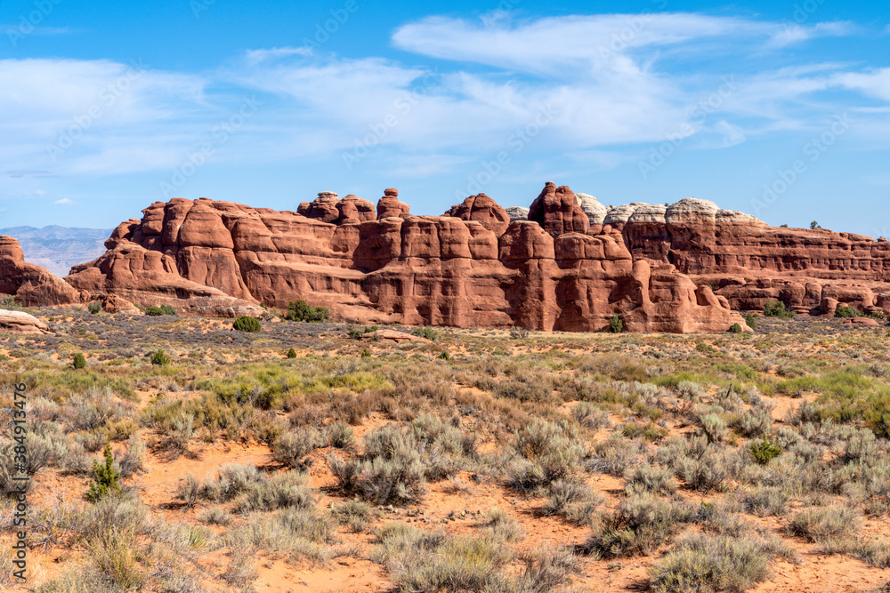 Fototapeta premium Desert landscape - Arches National Park