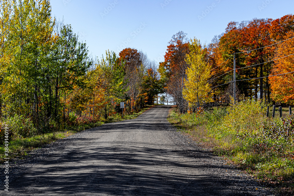 routes et paysages d'automne, tracteur et citrouilles
fall roads and sceneries, farm equipment and pumkins