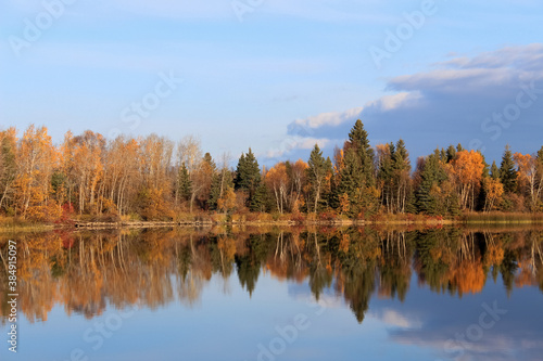 autumn trees reflected in lake