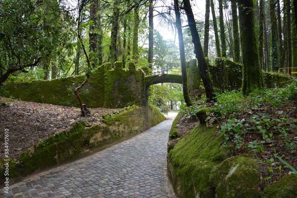 Un hermoso sendero verde. Sintra Portugal
