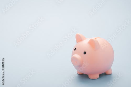 Pink piggy bank isolated on Light blue background. Soft focus
