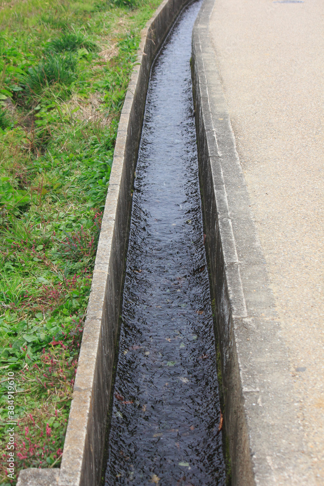 きれいな川の水