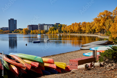 Leaves changing colors and colorful boats on the shore of Bde Maka Ska lake in Minneapolis Minnesota