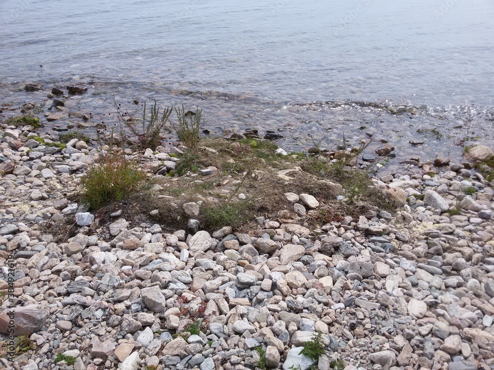 Obraz premium water on the beach