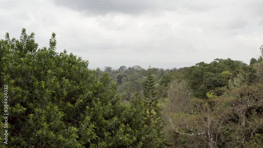 Drone video flamingo key which flies over the lake soda in which flocks of birds in the savannah with a background on the mountains. Aerial view of wild nature of Tanzania.
Drone video flamingo key which flies over the lake soda in which flocks of birds in the savannah with a background on the mountains. Aerial view of wild nature of Tanzania.