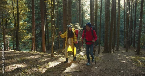 Wallpaper Mural Caucasian happy young man and woman hiking in golden autumn woods with backpacks. Male and female walking in forest between trees with hiking poles outdoors. Trekking concept. Travel adventure. Torontodigital.ca