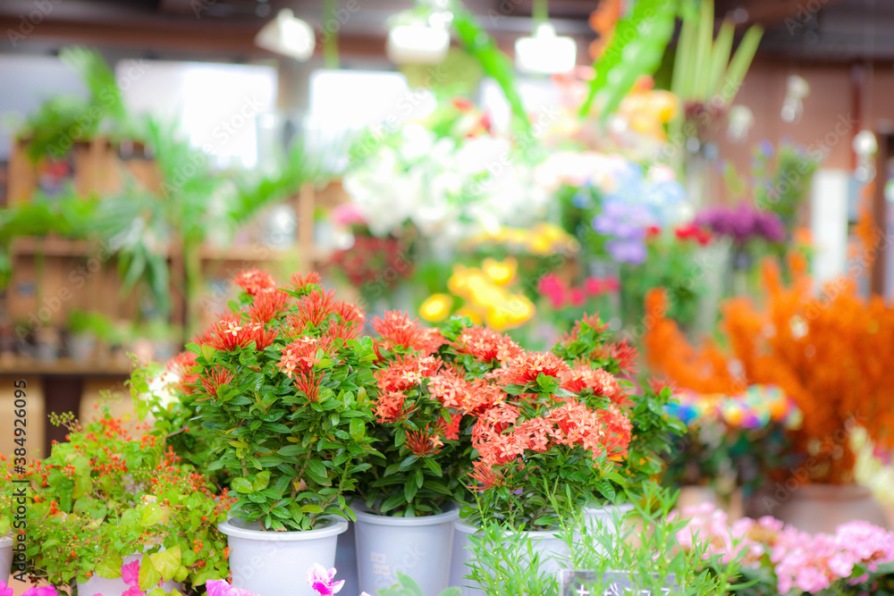 花屋さん 花屋さん