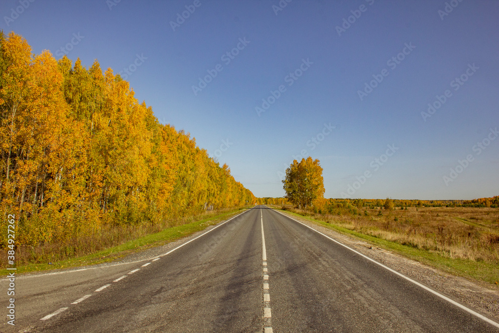The road through the autumn forests and fields. The two-lane highway runs through golden autumn forests and fields.