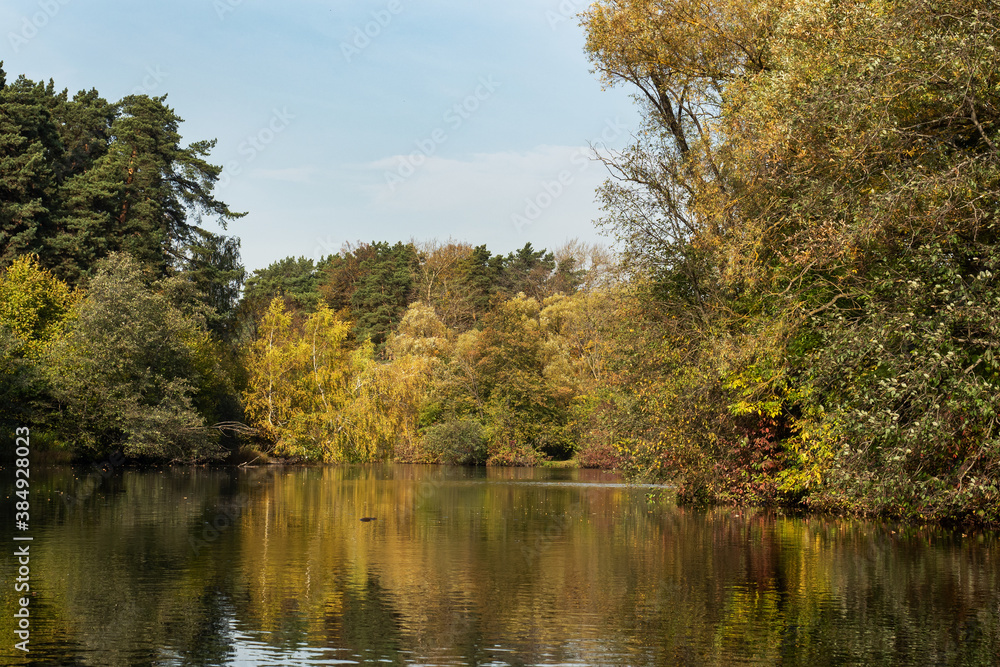 Fototapeta premium Autumn in the city Park, trees in yellow foliage