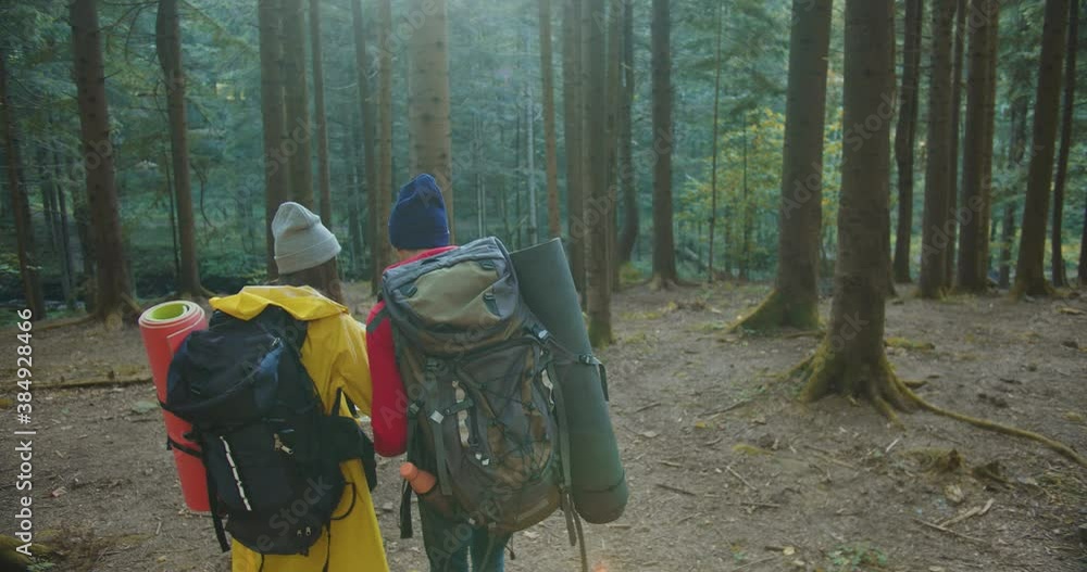 Rear of young woman and man traveling with backpacks. Couple hiking in forest between trees with map in hands and searching direction. Female and male walking outdoor with plan looking for route. Rear of young woman and man traveling with backpacks. Couple hiking in forest between trees with map in hands and searching direction. Female and male walking outdoor with plan looking for route.